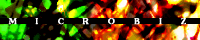 �N�K�l��MICROBIZ�B �F�������Y��ȁA�ƂĂ��f�G�ȃf�U�C���̑f�ރT�C�g�l�ł��B